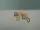 1125-195-1128-195-WO