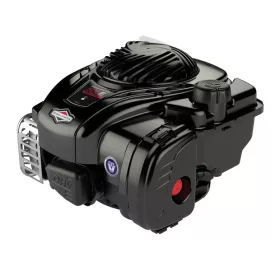 B&S Motor 09P602-0014-H5