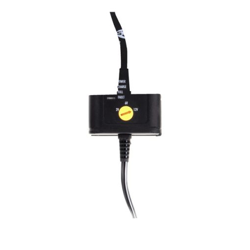 ANSMANN Battery charger ALCS 2-12/0.4
