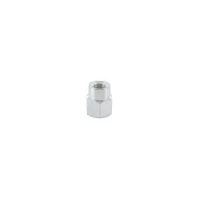 Adapter Bolt M10 x 1.00 - LT-I