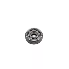 Crankshaft Bearing