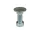 Coach Bolt M5 x 16 mm