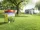 WOLF GARTEN Dry Lawn Premium L-TP 100