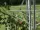Vitavia shelf support set aluminum