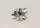 Vitavia stainless steel glass support 20 pieces