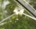 Vitavia plant holder 10 pieces
