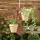 Vitavia Hanging Basket brown