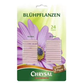 CHRYSAL Blühpflanzen