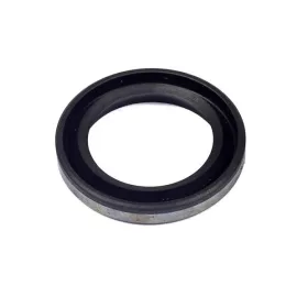 B&S Wellendichtring 299819S