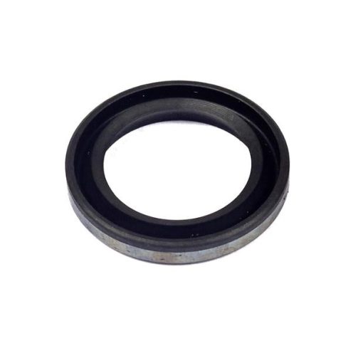 B&S Wellendichtring 299819S