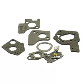 B&S Vergaserreparatursatz 495606
