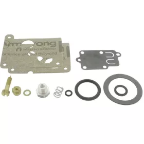 Carburetor Repair Set suitable for BRIGGS & STRATTON