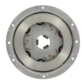 Clutch Mechanism suitable for GOLDONI