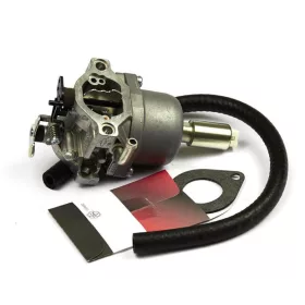 B&S Vergaser 590400