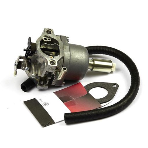 B&S Vergaser 590400