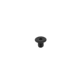 Csavar M6 x 8,0 mm
