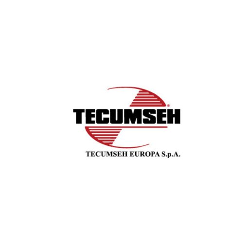 TECUMSEH Kolbenring 1610.5004