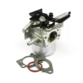 B&S Vergaser 796608