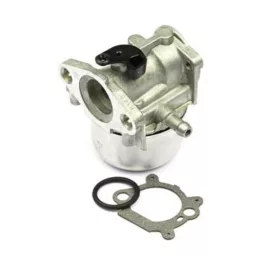 B&S Vergaser 799868