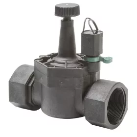   "RAIN Solenoid valve RN 160 P 24V AC G2"" IG"