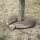 Tree Watering Bag Premium 55 L