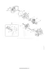 42421290900