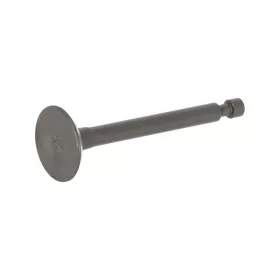 Szelep szívó MTD P61