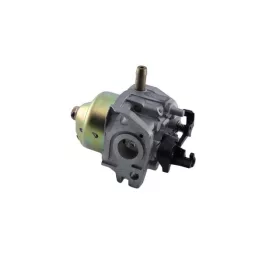 Karburátor komplett MTD P61