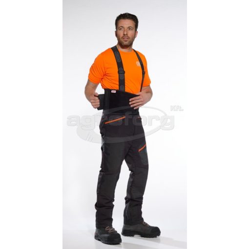 Hát és deréktámasz Oregon