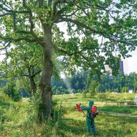 Birchmeier Sprühgebläse AS 1200 AC1