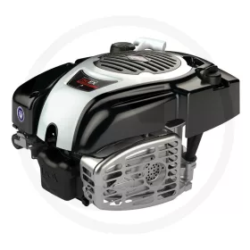 Briggs & Stratton Motor 750EX Series I/C DOV