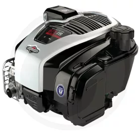 Briggs & Stratton Motor