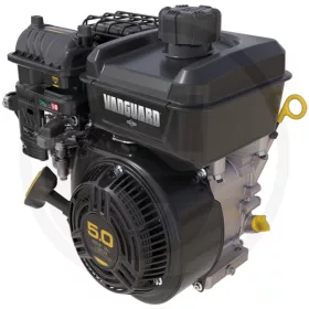 Briggs & Stratton Motor