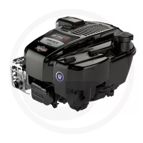 Briggs & Stratton Motor