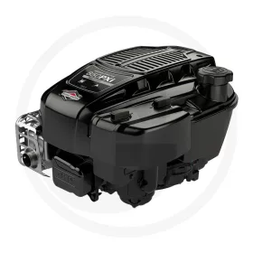 Briggs & Stratton Motor