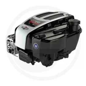 Briggs & Stratton Motor