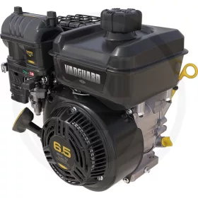 Briggs & Stratton Motor