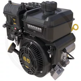 Briggs & Stratton Motor