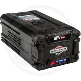 Briggs & Stratton BATTERIE