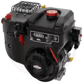 Briggs & Stratton Motor