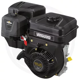 Briggs & Stratton Motor