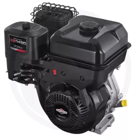 Briggs & Stratton Motor