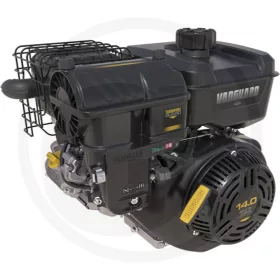 Briggs & Stratton Motor