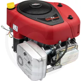 Briggs & Stratton Motor