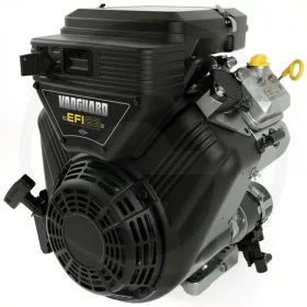 Briggs & Stratton Motor