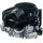 Briggs & Stratton Motor