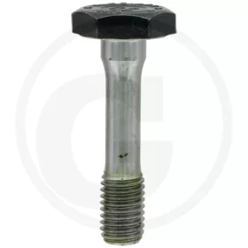 AS-Motor Késrögzítő csavar