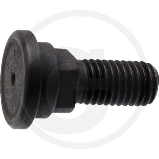 AS-Motor Késrögzítő csavar