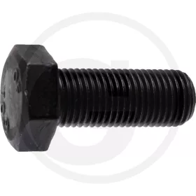 AS-Motor Késrögzítő csavar