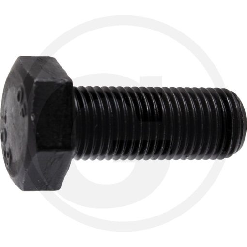 AS-Motor Késrögzítő csavar